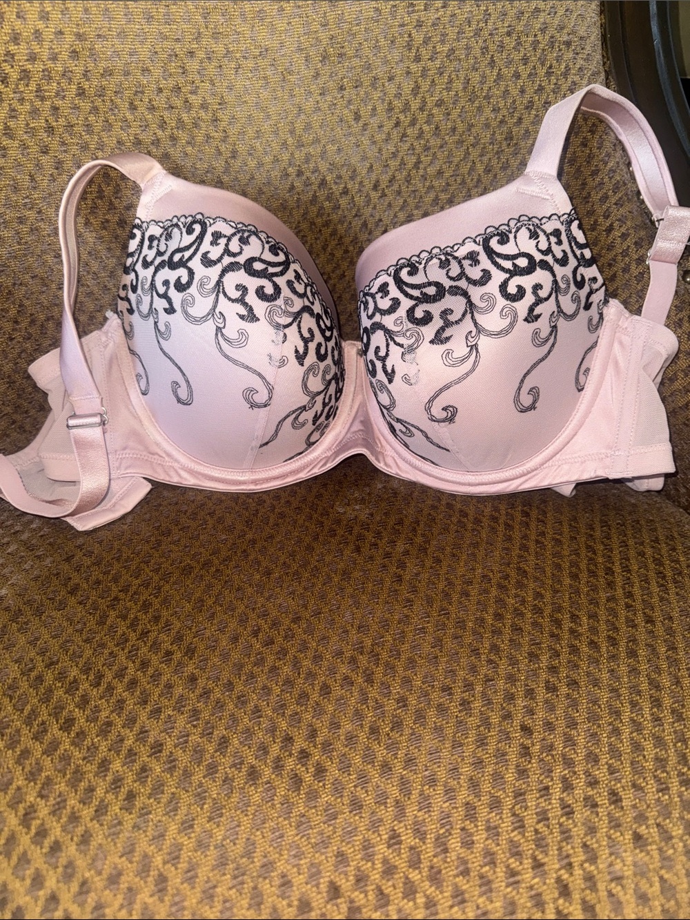NWOT Embroidered Light Pink Push-Up Bra with Black Scroll Detail